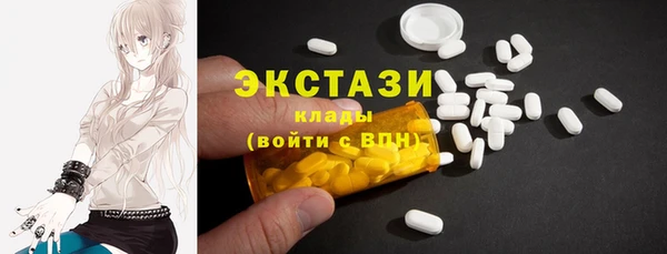 стаф Богородицк