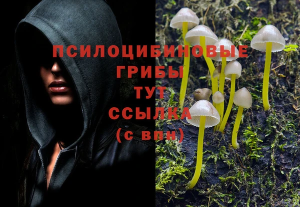 кристаллы Бородино