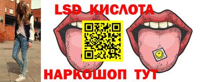 молекула духа Гатчина