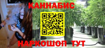 молекула духа Гатчина