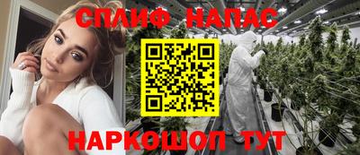 молекула духа Гатчина