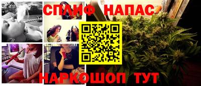 ГАЛЛЮЦИНОГЕННЫЕ ГРИБЫ Гагарин