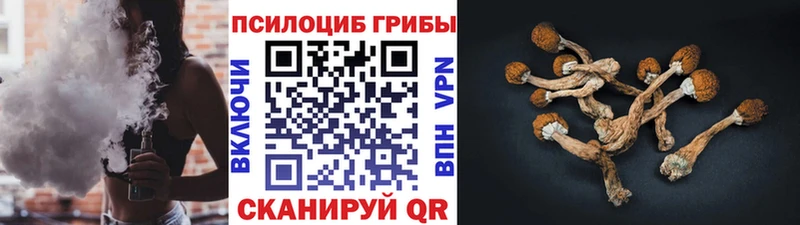 Псилоцибиновые грибы GOLDEN TEACHER  ОМГ ОМГ маркетплейс  shop телеграм  хочу   Горячий Ключ 