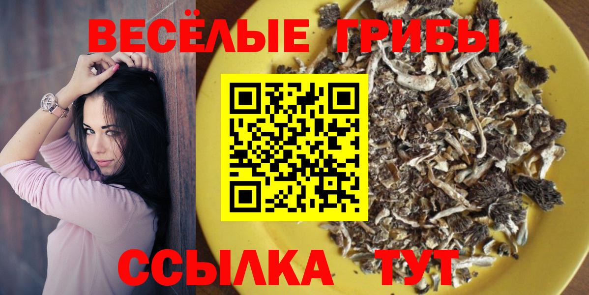 Горячий Ключ  Галлюциногенные грибы мухоморы  Галлюциногенные грибы ЛСД  Вход с VPN 
