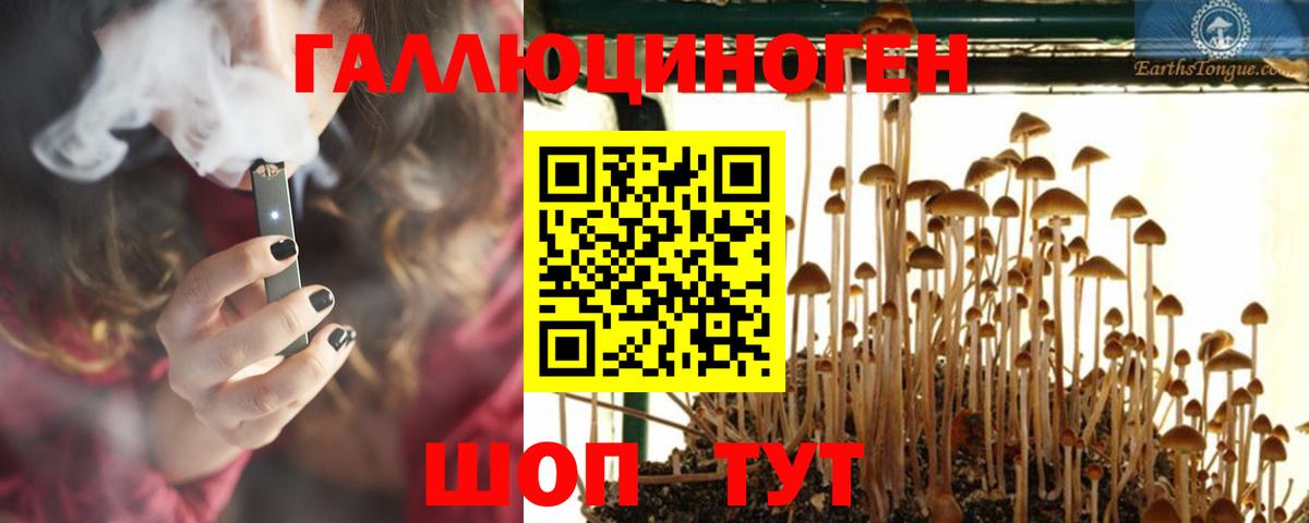 купить   Горячий Ключ  Псилоцибиновые грибы MAGIC MUSHROOMS 