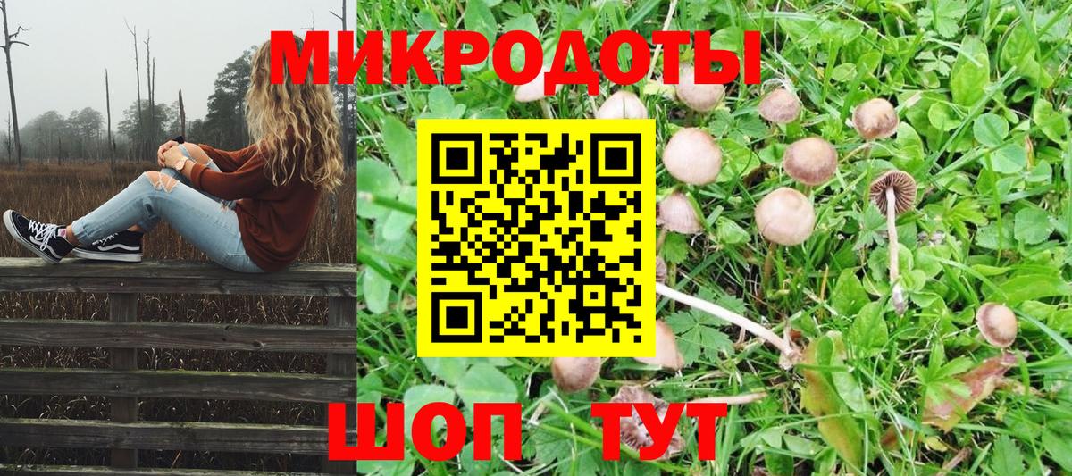 Галлюциногенные грибы мухоморы Горячий Ключ